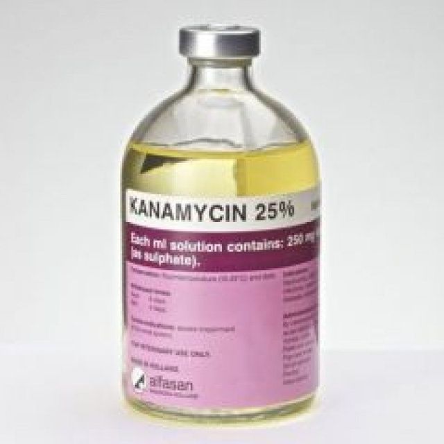 Канаміцин 25  аміноглікозидний антибіотик 100 мл 