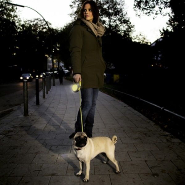 Рулетка для собак Neon S 5м  15кг стрічка Синя, 5м на 15кг стрічка