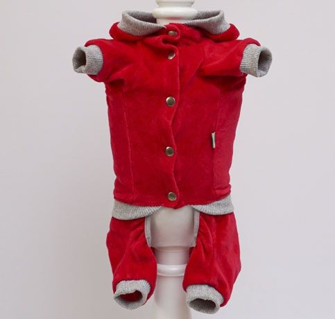 ФІФА комбінезон для собак дівчаток велюр S1