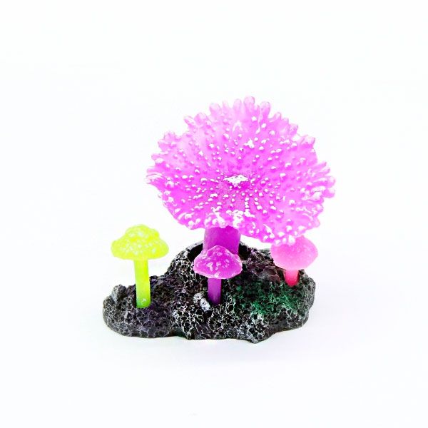 Корал фіолетовий, 8х5х8 см 