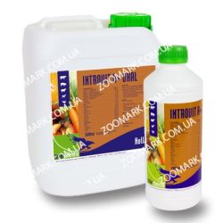 Інтровіт а + ВП-вітамінний препарат 1 л 