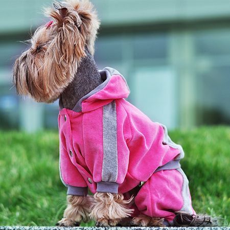 Комбінезон Лапка для дівчаток велюр комбінезон Лапка для дівчаток велюр