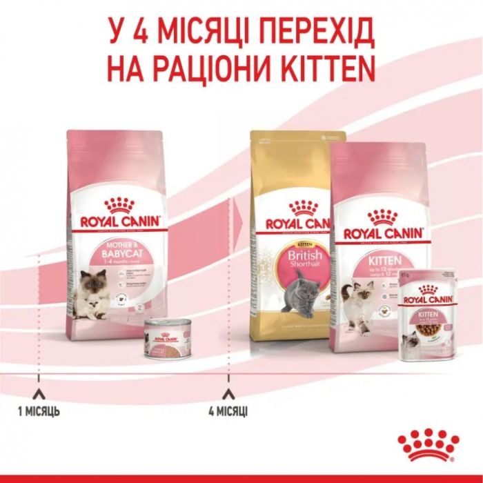 АКЦІЯ Royal Canin Motherbabycat сухий корм для кошенят та котів у період лактації 8+2 кг 