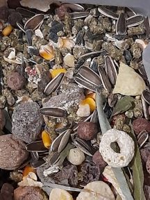 Коктейль для гризунів фрукти, овочі та горіхи Україна 2.5 кг