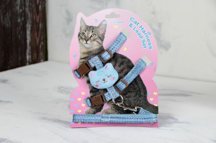 Комплект Котик, шлея з повідцем для кішки блакитна Обєм грудей 29-43 см