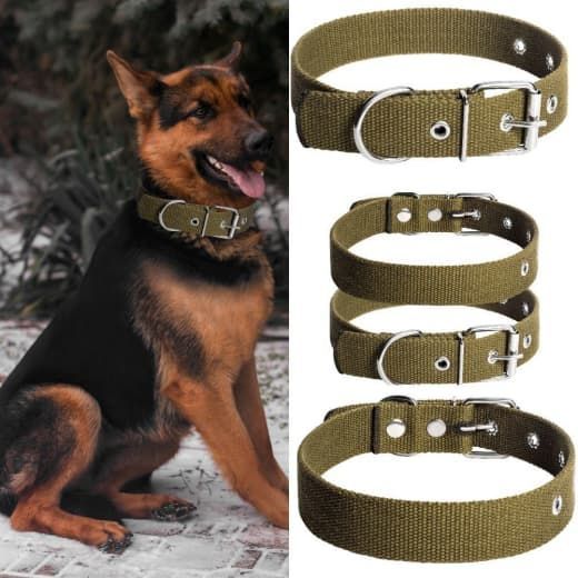 Нашийник для собак брезент одинарний, економ 50-64 см