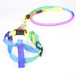 Шлея з повідцем Веселка 2, 5х17-20100 см круглий шнур, ручка петля 