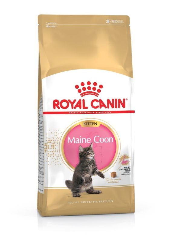 АКЦІЯ Royal Canin Maine Coon Kitten сухий корм для кошенят породи мейн-кун 2 кг + 12 паучів + схема 
