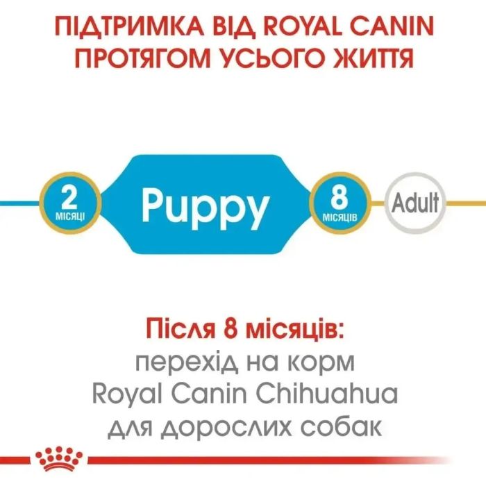 АКЦІЯ Royal Canin Chihuahua Puppy набір корму для цуценят 1,5 кг + 4 паучі 