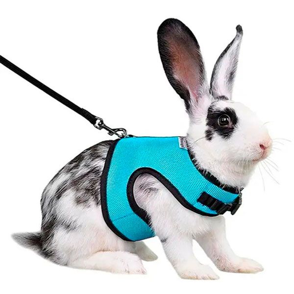 Шлейка з повідком для гризунів мятна 25-32 см 1,2 м