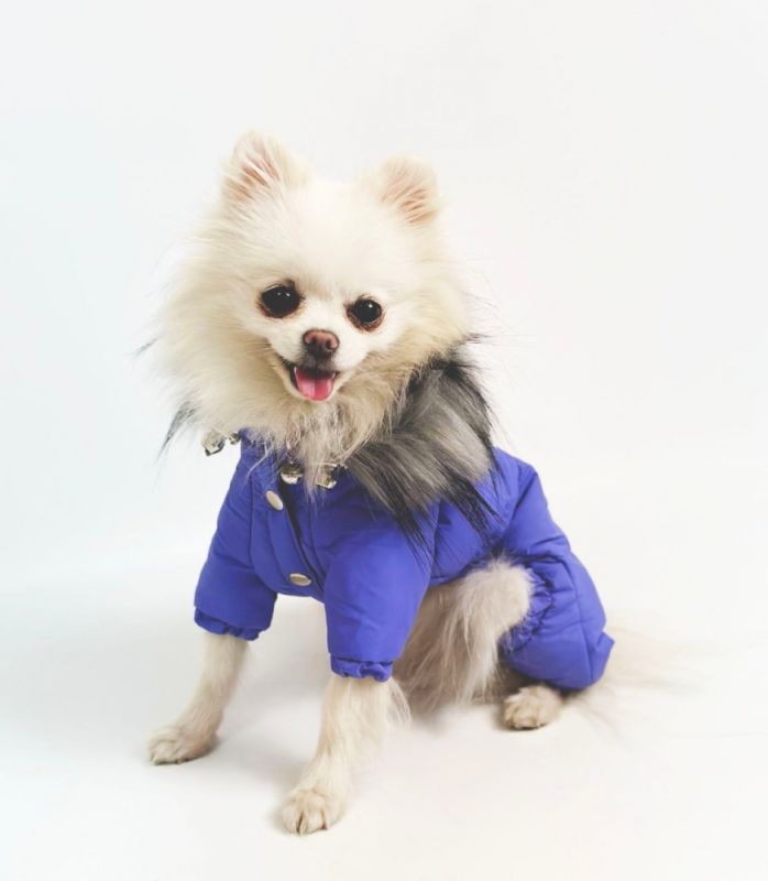 Комбінезон Лорд на силіконі (хлопчик) S2