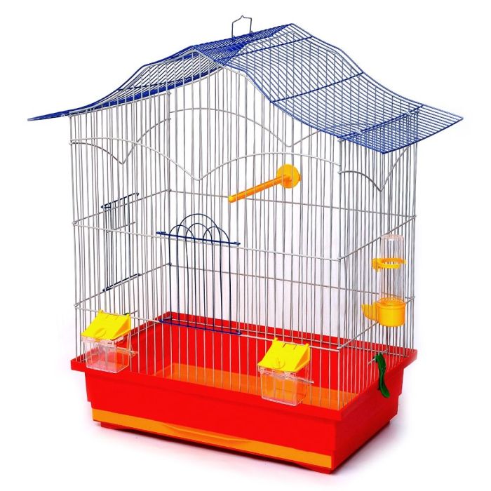Клітка для птахів Лорі фарба, Лорі 