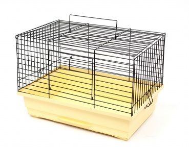 Кролик-міні клітка для декоративних кроликів, Лорі Фарба