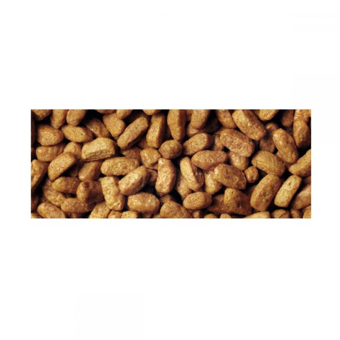 Pro Plan корм для дорослих стерилізованих кішок лосось 3кг 517454 