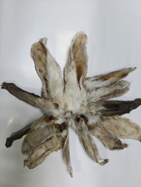 Вухо домашнього кролика з шерстю сушене, 2 шт. 