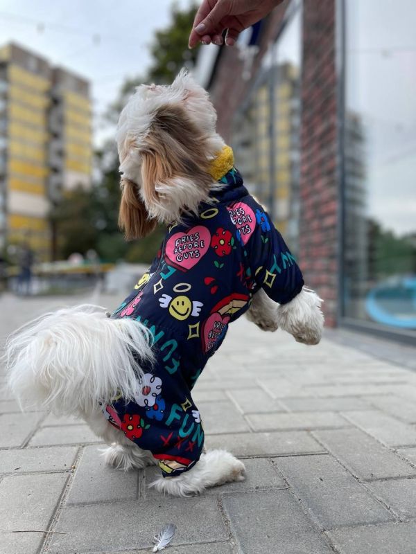 Ляля комбінезон на овчині без силікону для собак дівчаток S2 пинчер