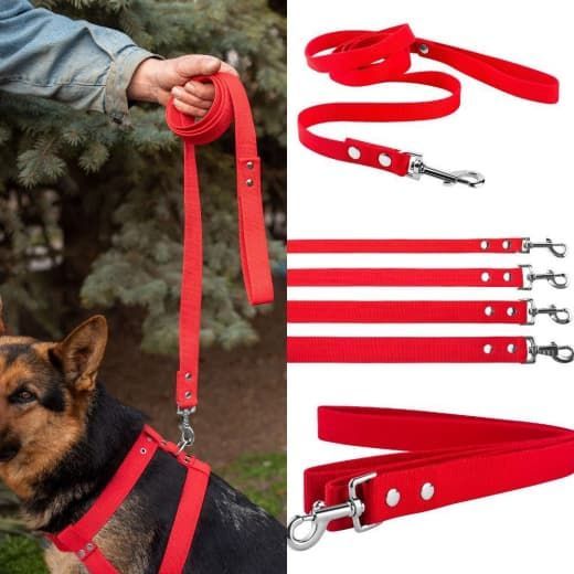 Поводок брезент 25мм Червоний Довжина 2 м