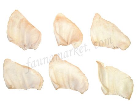 Вухо свиняче сушене кальциноване для собак Фауна 