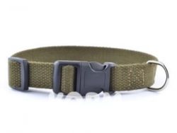 Нашийник брезентовий Фастекс Franty 201021 20мм27-40см M