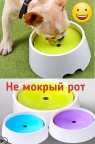 Поїлка Суха морда 1000 мл Жовта, кругла