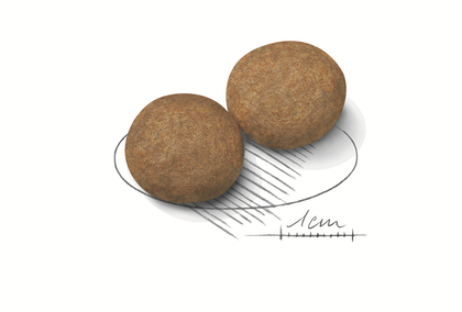 Royal Canin (Роял Канін Медіум Едалт) Medium Adult 15 кг