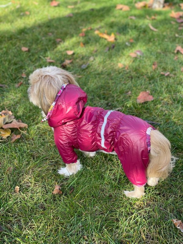 Набір Фрезія жилет силікон + комбінезон велсофт бордо (дівчинка) М