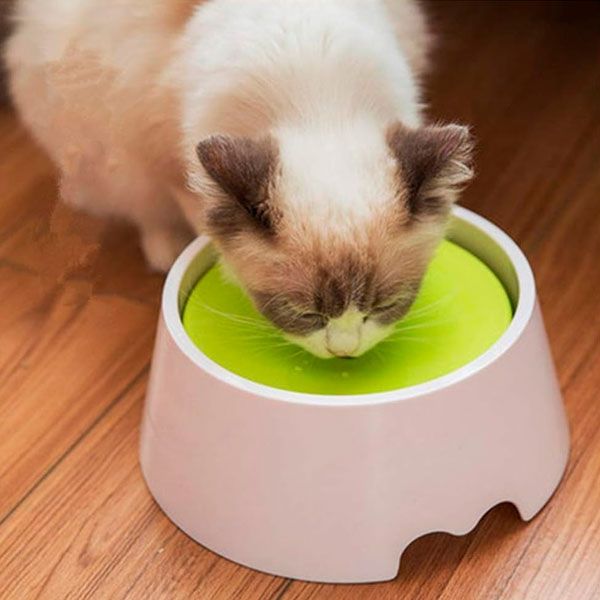 Поїлка Суха морда для собак кругла, 1000 мл 