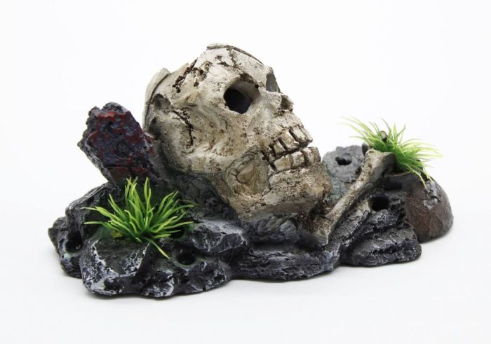 Череп з кістками S 1368 см