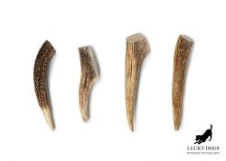 Ріг оленя Lucky Dogs мякий M