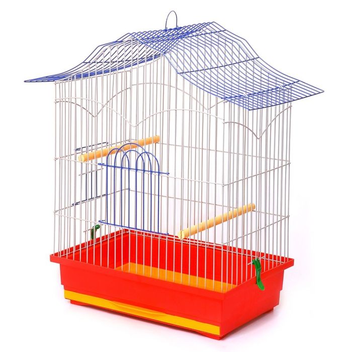 Клітка Лорі Корелла фарба 