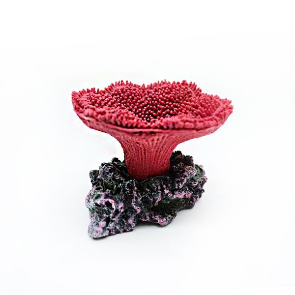 Корал-поліп рожевий, 8х8х7 см 