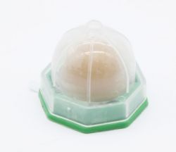 Мататабі Льодяник-цукерка 23 см. 