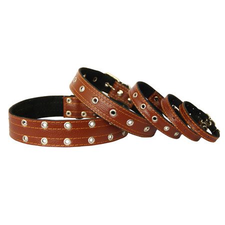 Нашийник для собак Шкіряний безрозмірний, коричневий 15-39 см