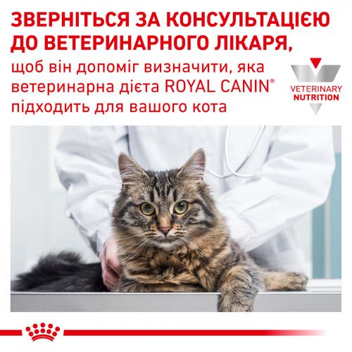 Royal Canin Gastrointestinal Hairball Cat при захворюваннях шлунково-кишкового тракту і виведенні шерсті у кішок 400 г