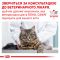 Royal Canin Gastrointestinal Hairball Cat при захворюваннях шлунково-кишкового тракту і виведенні шерсті у кішок 4 кг