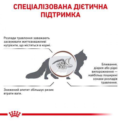 Royal Canin Gastrointestinal Hairball Cat при захворюваннях шлунково-кишкового тракту і виведенні шерсті у кішок 4 кг