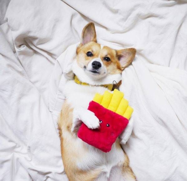 М'яка іграшка для собак картопля фрі ZippyPaws NomNomz Fries з пищалкою