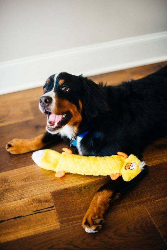 М'яка іграшка для собак качка ZippyPaws Jigglerz Duck з пищалкою