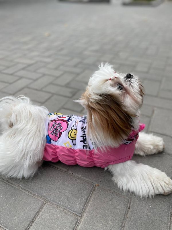 Марго жилет на овчині для собак дівчаток S