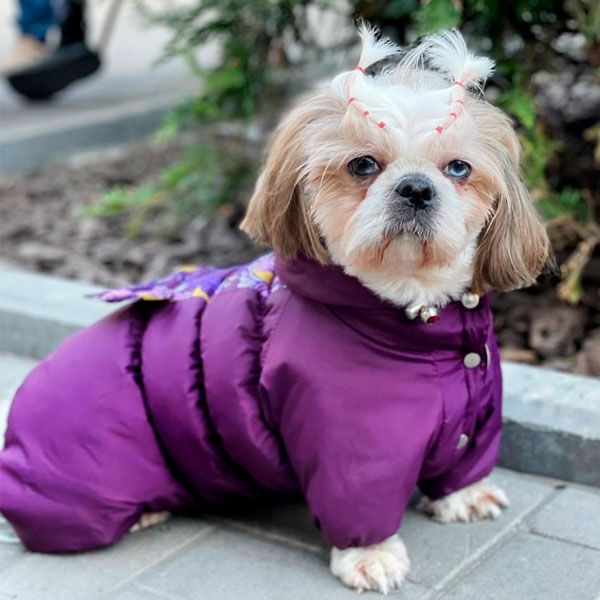 Комбінезон Азалія силікон (дівчинка) S3