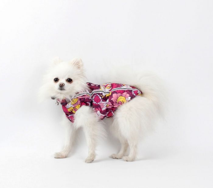 Набір Фрезія жилет силікон + комбінезон велсофт бордо (дівчинка) S