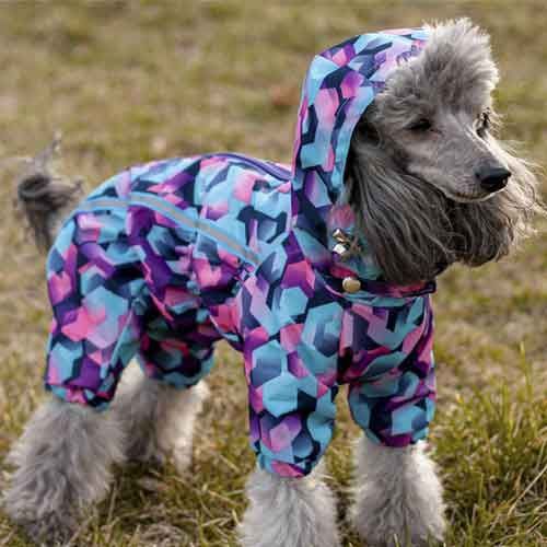 Стільники комбінезон для собак дівчаток велсофт без силікону S