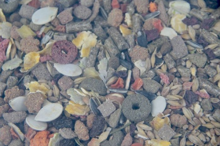 Корм для щурів Lolo Pets 1,9 кг Корм для щурів Домашні тварини Лоло 1,9 кг