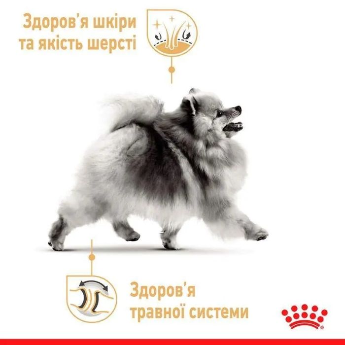 АКЦІЯ Royal Canin Pomeranian Adult корм для дорослих собак породи померанський шпіц 1,5 кг + 4 паучі 