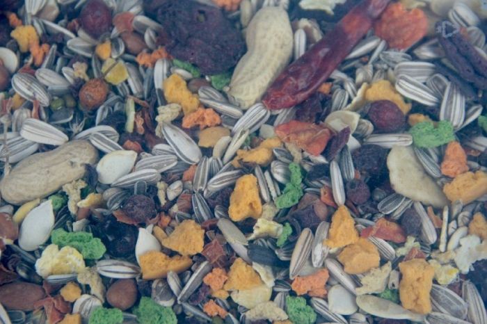 Корм для великих папуг Lolo Pets