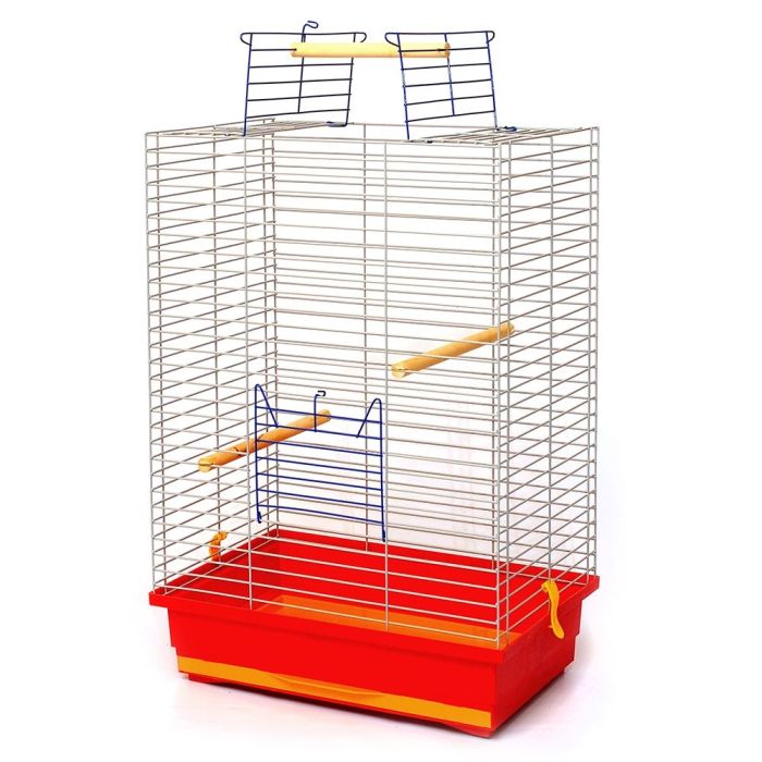 Клітка для птахів Німфа фарба, Лорі 