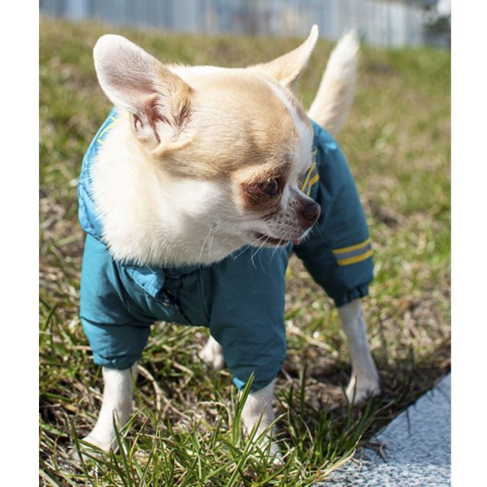 Комбінезон для собак хлопчиків на силіконі M1