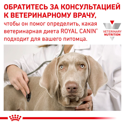 Royal Canin Recovery (Роял Канін Рекавері) консерви для собак і кішок 195 г 195г