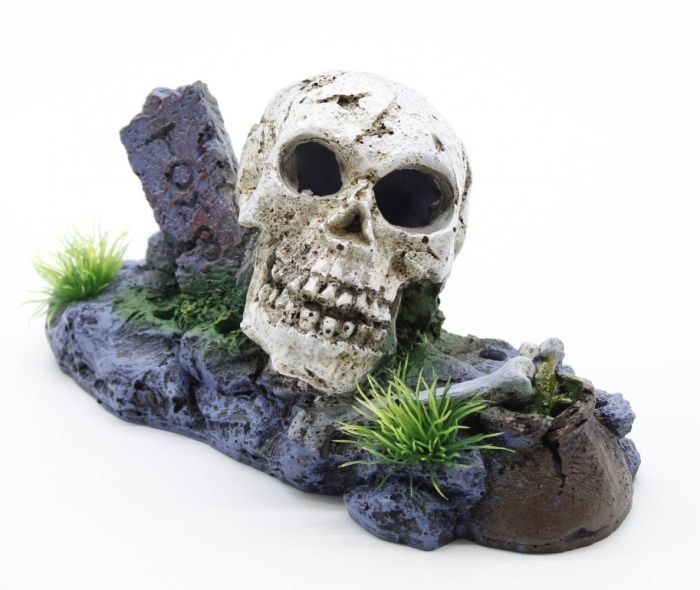 Череп з кістками S 1368 см