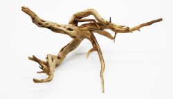 Корінь азалія М (600800 г)